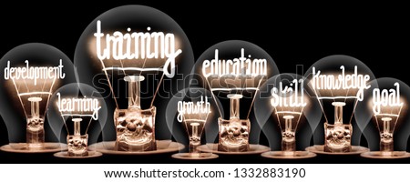 Photo of light bulbs with shining fibers in a shape of TRAINING and EDUCATION concept related words isolated on black background