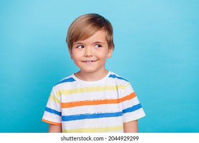 Photo of little cute blond boy look empty space wear white t-shirt isolated on blue color background - Shutterstock ID 2044929299
