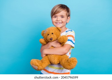 Photo of little relaxed calm boy enjoy cuddle teddy bear toy wear striped t-shirt isolated blue color background