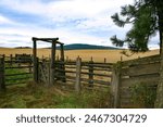 photo of loading shute amoung fields on a farm near Southwick in Clearwater County ID