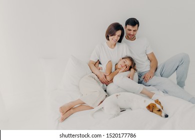 Photo of lovely family spend free time together, stay in bed for long time, had healthy sleep, pedigree dog lies near owners, enjoy comfort and relaxation, blank space on light background for promo