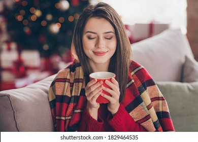 Photo of lovely lady sit sofa hold cup smell close eyes wrapped blanket wear red sweater in decorated x-mas living room indoors - Powered by Shutterstock