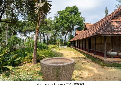 437 Tamilnadu palm tree Images, Stock Photos & Vectors | Shutterstock