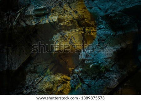 Photo manipulation with multiple images to create a vibrant abstract background with rich texture and detail. 