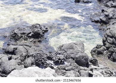 Photo Of A Maui Landscape