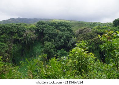 Photo Of A Maui Landscape