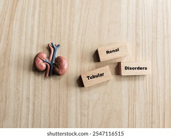 a photo of miniature kidneys with 3 wooden blocks with 
