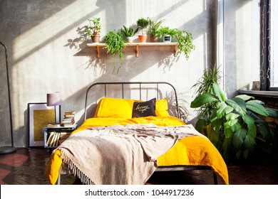 Plants Bedroom Images Stock Photos Vectors Shutterstock