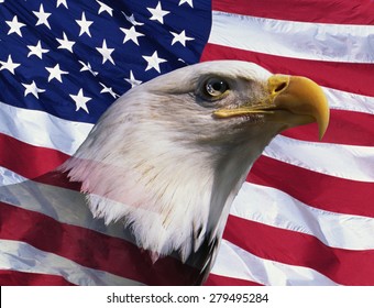 15,553 American Flag With Eagle Images, Stock Photos & Vectors 