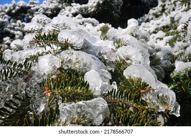 Photo of Mountain landscape after heavy snowfall, trees covered with snow and rime, China, Anhui Province, Mount Huang