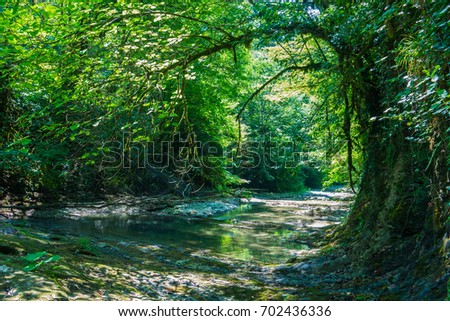 photo of a mountain river