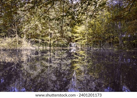 Similar – Wasserspielung Umwelt