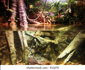 A Photo Of A Nature Scene, Half Below Water, Half Above