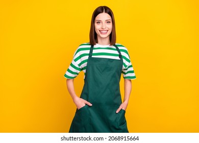 Photo of nice brunette millennial housewife lady wear apron striped t-shirt isolated on yellow color background