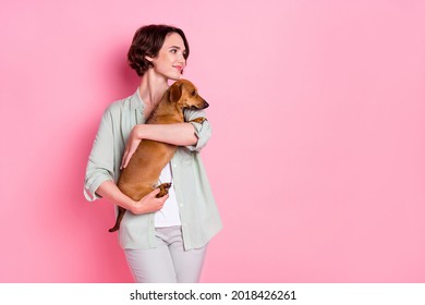 Photo of nice young lady hug dog look empty space wear grey green suit isolated on pink background