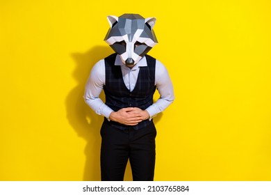 Photo Of Office Worker In Pain Touch Rumbling Stomach Wear Raccoon Mask Vest Isolated Yellow Color Background