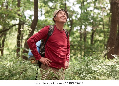 Photo of old aged senior traveler walk on road in forest, wears casually, carries backpack with rug, stands with hands on hips and look up on sky. Active recreation and traveling in mountains concept. - Powered by Shutterstock