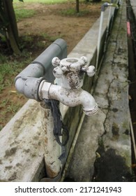 Photo Of Old Water Faucet That Is Already Mossy.