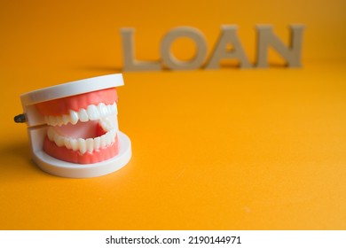 Photo On An Orange Background With A Tooth Model On The Left Front Of The Letter Lorne