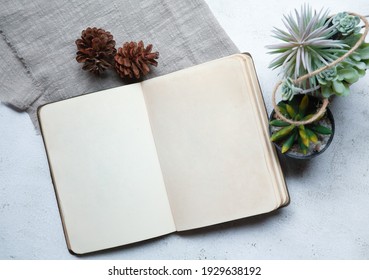 photo of open book with blank white pages next to pine cones and plants decoration