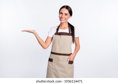 Photo of optimistic nice brown hair lady hold empty space wear t-shirt apron isolated on grey color background