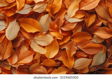 Photo of Orange autumn fallen leaves on ground close up. Background texture for backdrops or mapping - Powered by Shutterstock