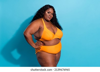 Photo Of Oversize Chubby Lady Out Hands Waist Have Resort Weekend Love Her Body Stylish Swimsuit Isolated Over Blue Color Background.