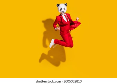 Photo Of Panda Identity Guy Jump Celebrate Victory Wear Mask Red Tux Shoes Isolated On Yellow Color Background