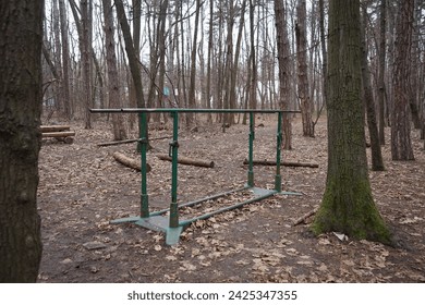 Photo of parallel bars in the woods