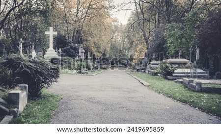 Photo of a pathway winding through a cemetery, flanked by rows of graves, capturing the peaceful solitude and reflective ambiance of the final resting place