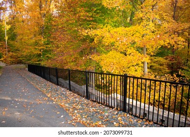 Photo Of A Paved Walking Path Through Autumn Woods With A Fence