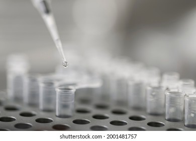 Photo Of The PCR Test Process In The Laboratory Using Special Medical Equipment