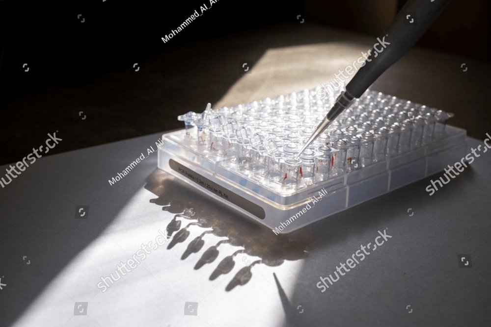 photo of pcr tube contain master mix solution with micropppet ...