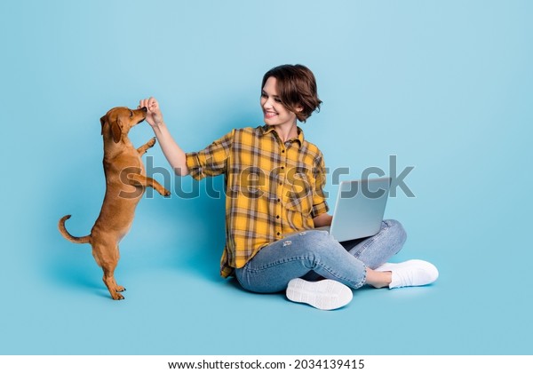 Photo of pet\
owner lady sit floor work netbook play dog wear plaid shirt jeans\
shoes isolated blue color\
background