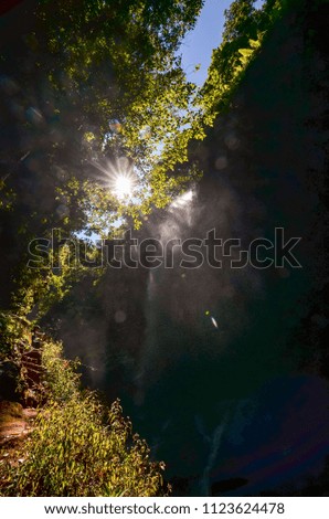 Similar – sonnenstern für christine