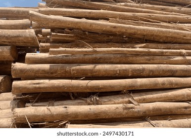 photo of a pile of eucalyptus woods with their bark peeled off - Powered by Shutterstock