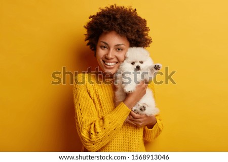Similar – Image, Stock Photo cute lovely small dog in bathtub ready to get clean at home