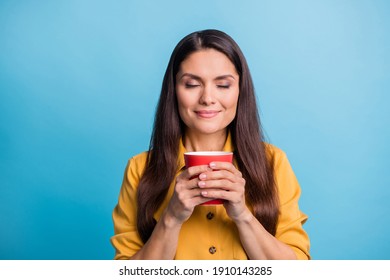 Photo portrait of dreamy woman enjoying hot coffee aroma closed eyes isolated on vivid blue color background