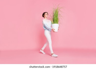 Photo portrait full body side profile view of girl with plant in pot walking isolated on pastel pink colored background - Powered by Shutterstock