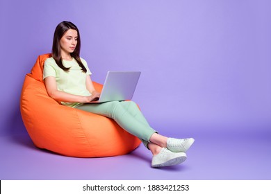 Photo Portrait Full Body View Of Concentrated Woman Sitting In Bean Bag With Laptop Isolated On Vivid Violet Colored Background