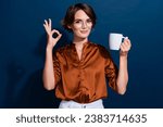 Photo portrait of lovely young lady hold coffee mug show okey symbol wear trendy brown blouse isolated on dark blue color background