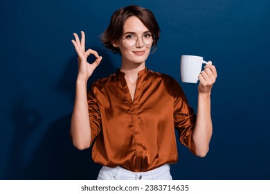 Photo portrait of lovely young lady hold coffee mug show okey symbol wear trendy brown blouse isolated on dark blue color background