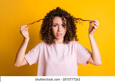 Photo Portrait Of Unsatisfied Female Millennial Keeping Curls Dry Hair Bad Hairdo Isolated On Vivid Yellow Color Background