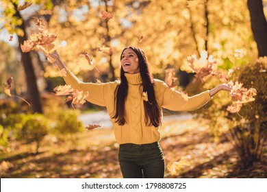 Photo of positive cheerful girl enjoy throw catch autumn air fly maple leaves in city center park woods wear pullover - Powered by Shutterstock