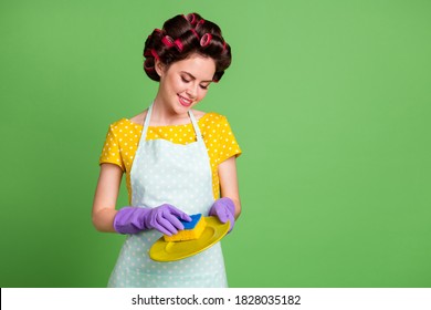 Photo Positive House Wife Vintage Lady Wash Plates Sponge Prepare Family Meeting Event Holiday Dinner Wear Violet Gloves Dotted Dress Hair Rollers Curlers Isolated Green Color Background