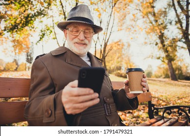 Photo positive modern old man pensioner enjoy autumn forest break pause rest park use smartphone typing email sit bench drink hold takeout coffee mug wear coat jacket hat cap headwear - Powered by Shutterstock