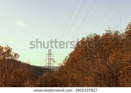 Photo of a powerline cutting through the hills covered in forest, shot in autumn at golden hour.