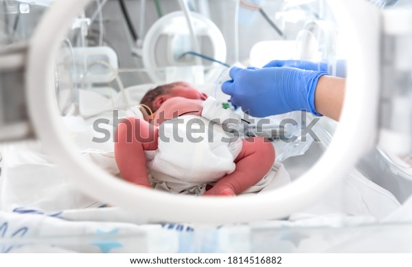 Photo of a premature baby in\
incubator. Focus is on his feet. Nurse in blue gloves is using the\
feeding tube for feeding premature baby. Neonatal intensive care\
unit