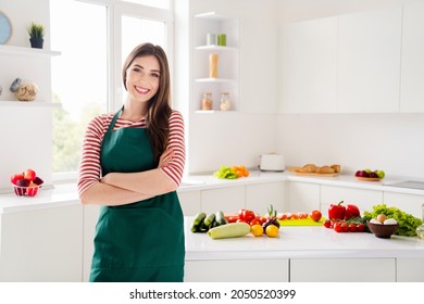 11,697 Housewife wearing apron Images, Stock Photos & Vectors ...