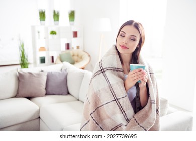 Photo of pretty dreamy young woman dressed green shirt sitting couch cover blanket drinking coffee indoors house home room